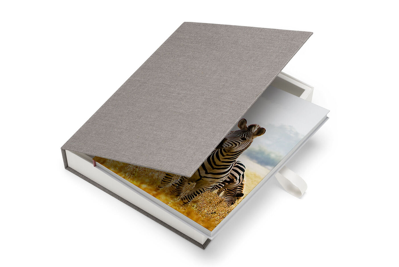 Un CEWE fotolibro aperto con una zebra nella prima pagina in un ambiente accogliente.