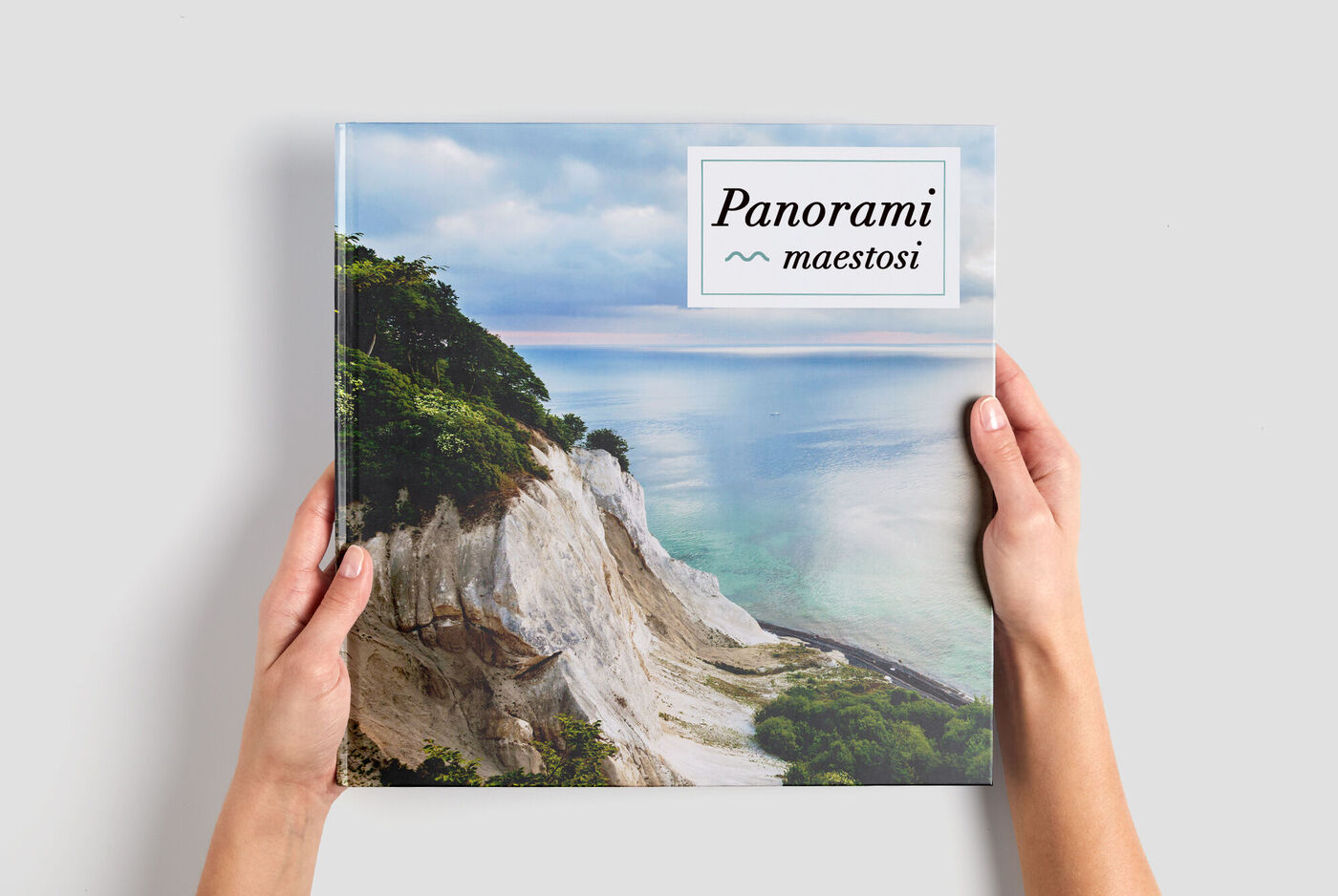 Una persona tiene un libro fotografico con un motivo paesaggistico naturale.