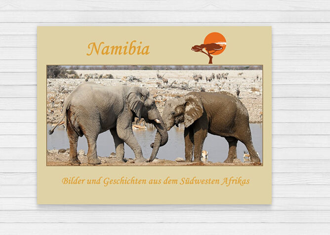 Due elefanti in Namibia bevono acqua in uno stagno