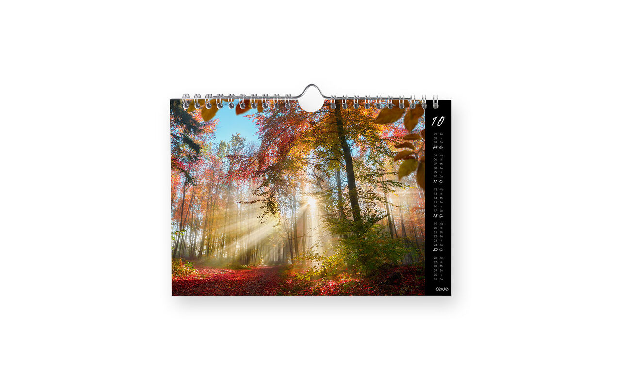 Calendario da parete A5 panoramico