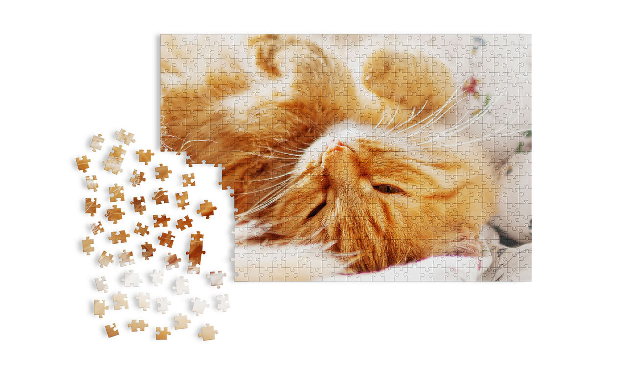 Un puzzle di gatti gialli è su un tavolo, alcuni pezzi sono sparsi.