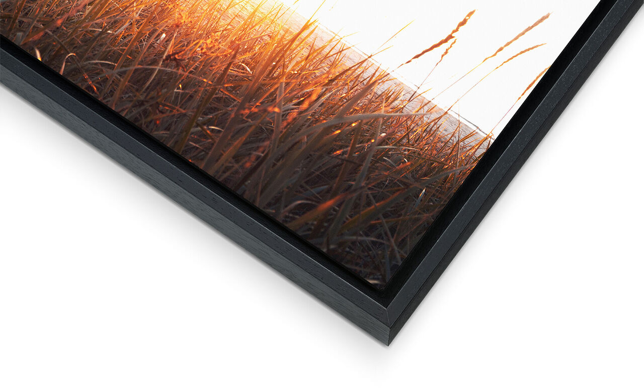 Cornice nera con luce dorata su teneri fili d'erba.