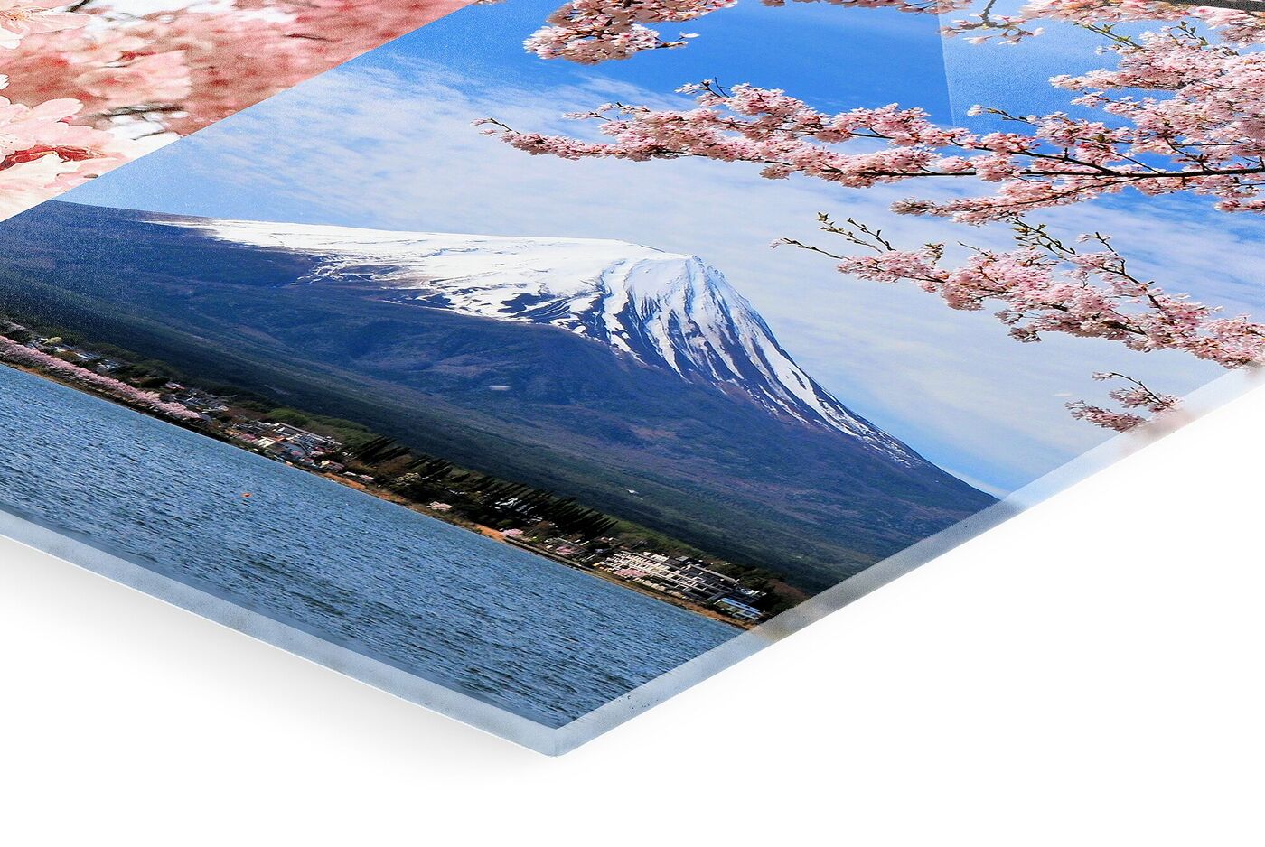 Dettaglio di un collage di foto stampato su plexiglas